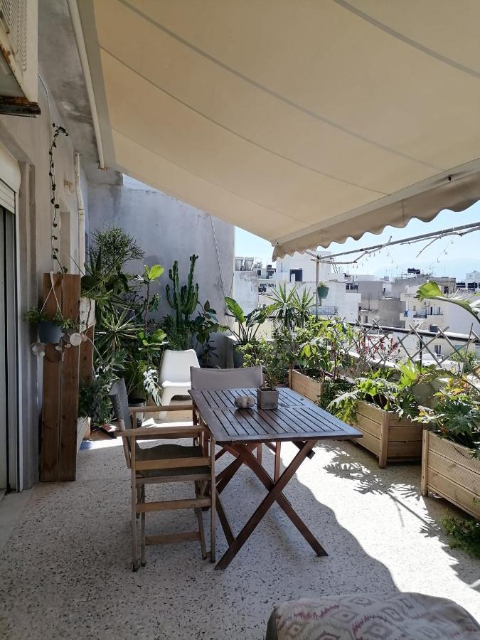 Apartment Oasis Roof Flat