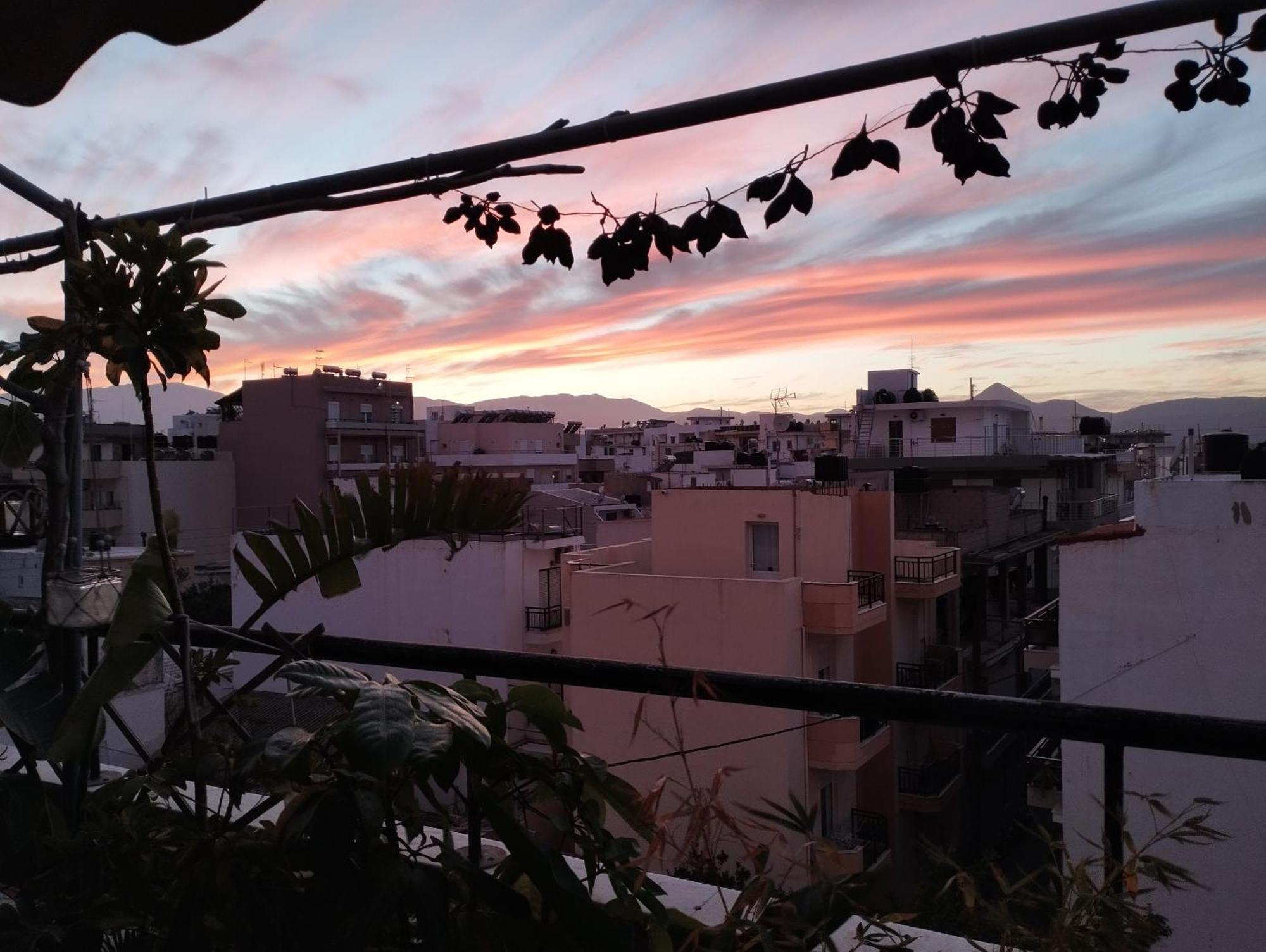 Apartment Oasis Roof Flat *